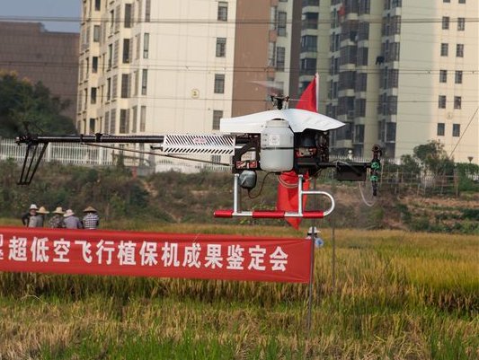 8188cc威尼斯科技超低空？？？？睾叫兄脖；；；；；；ü蒲行Ч卸