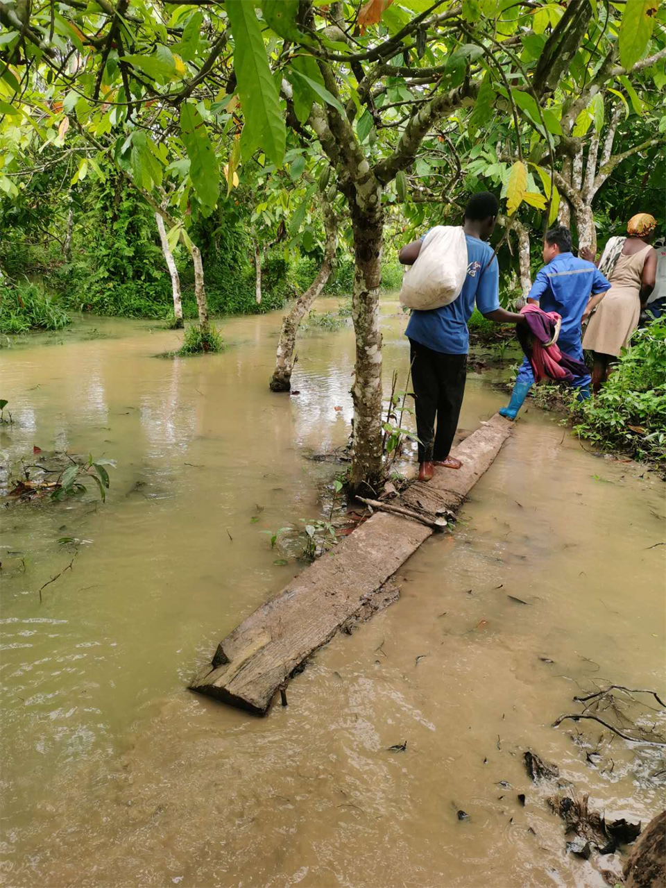 品质8188cc威尼斯，，，，，，专心折务！8188cc威尼斯智能效劳万里行活动走进非洲加纳